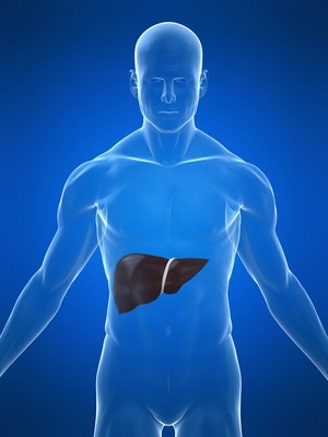 Liver Disease Statistics